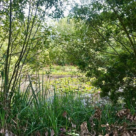 Eikenburg B&B Eindhoven Ngoại thất bức ảnh